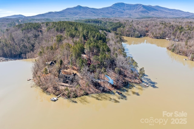 birds eye view of property featuring a forest view and a water and mountain view