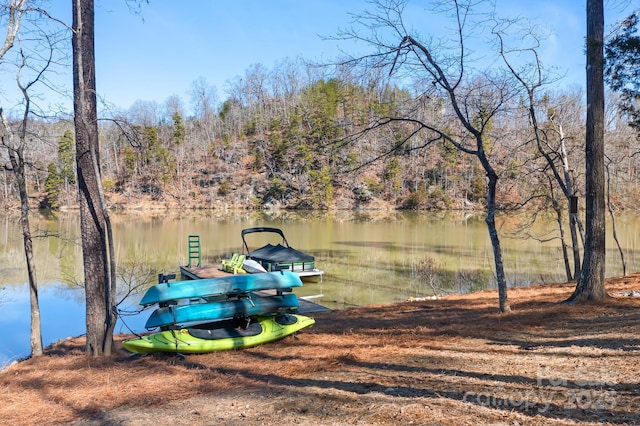 dock area featuring a water view and a view of trees