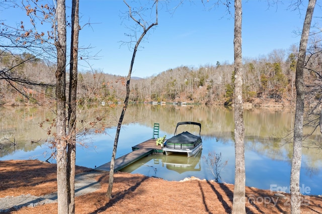 dock area with a water view and a forest view