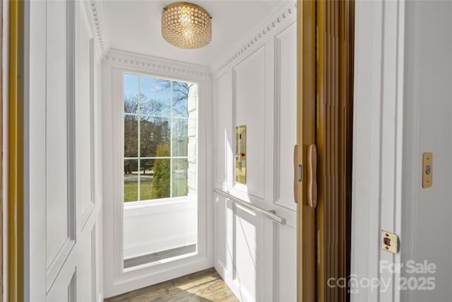 doorway to outside with a healthy amount of sunlight and light wood finished floors