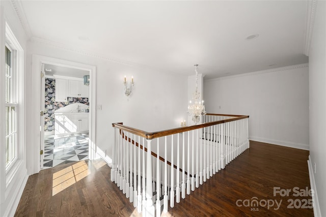 corridor with ornamental molding, a chandelier, and wood finished floors