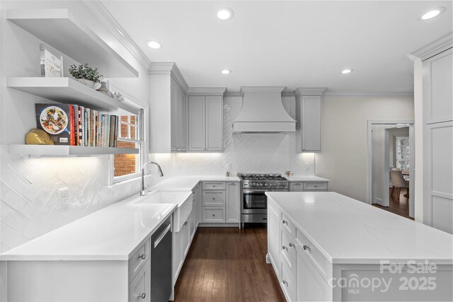 kitchen featuring dark wood-type flooring, custom range hood, open shelves, tasteful backsplash, and stainless steel appliances