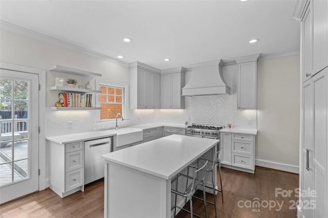 kitchen featuring custom range hood, a sink, plenty of natural light, dark wood-style floors, and appliances with stainless steel finishes