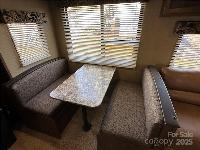 dining area featuring a wealth of natural light