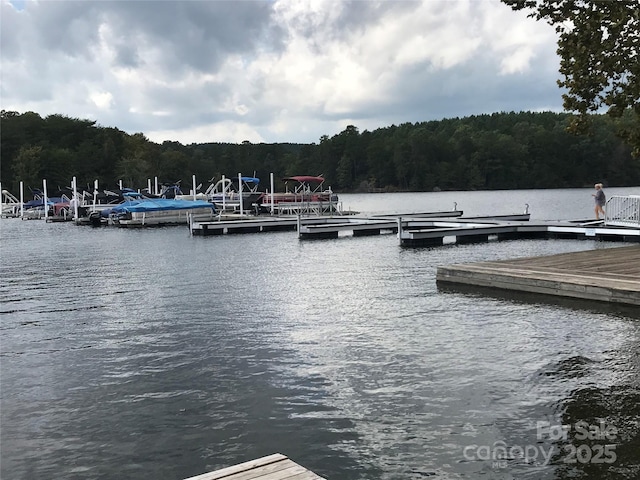 dock area with a water view and a forest view