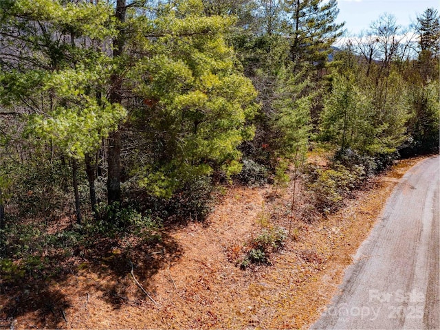 794 Silverstone Dr, Hendersonville NC, 28792 land for sale