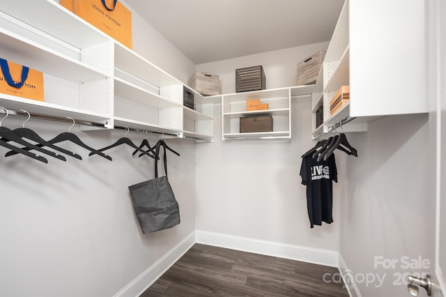 spacious closet featuring dark wood-type flooring