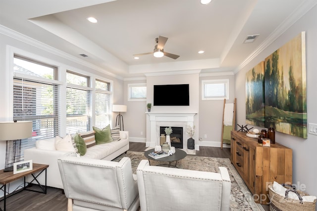 living area with a healthy amount of sunlight and a raised ceiling