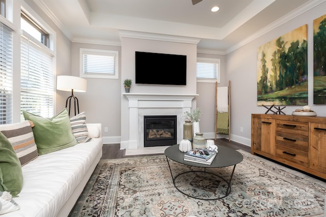 living area featuring a glass covered fireplace, a raised ceiling, crown molding, and wood finished floors