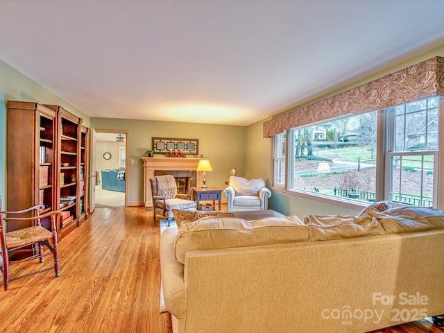 living room with a glass covered fireplace and light wood-style flooring