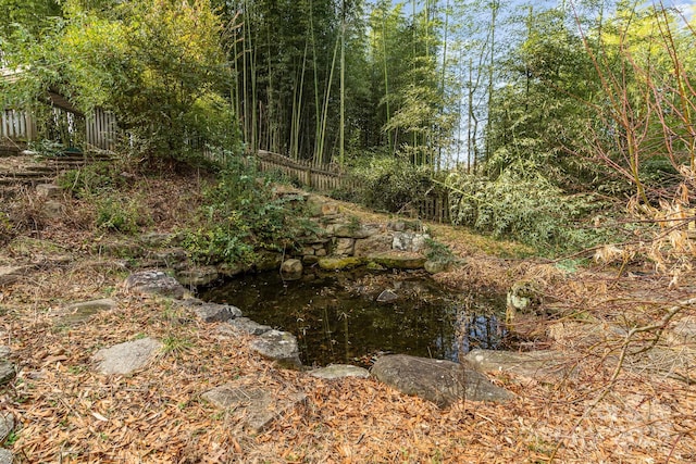 view of local wilderness