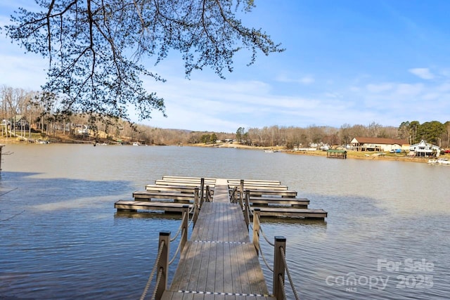 dock area featuring a water view