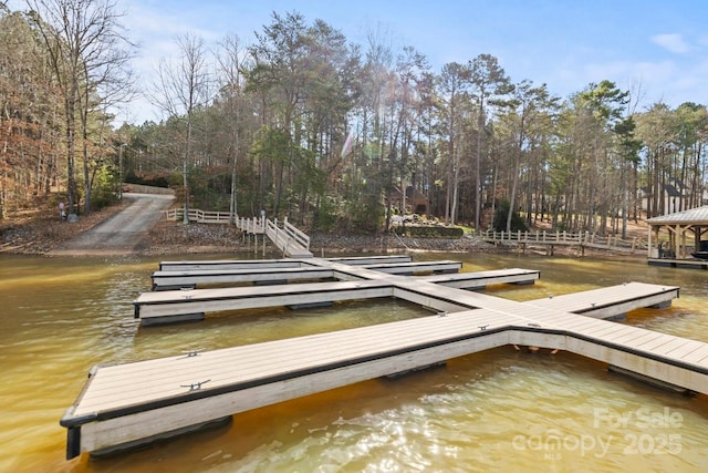 dock area with a water view