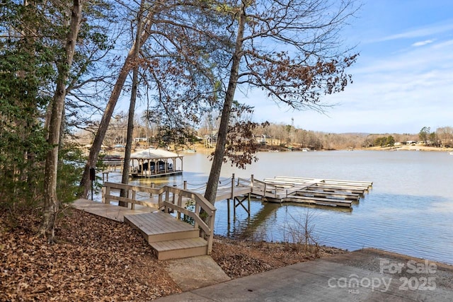 dock area with a water view