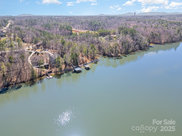 bird's eye view with a forest view and a water and mountain view