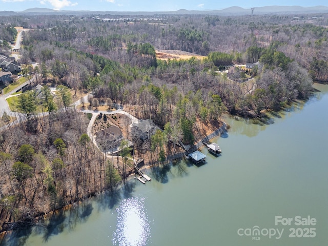 drone / aerial view with a water view and a wooded view