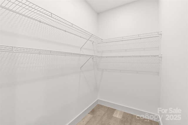 walk in closet featuring light wood-style floors