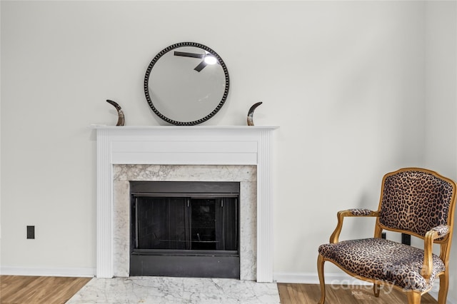 details featuring a premium fireplace, baseboards, and wood finished floors