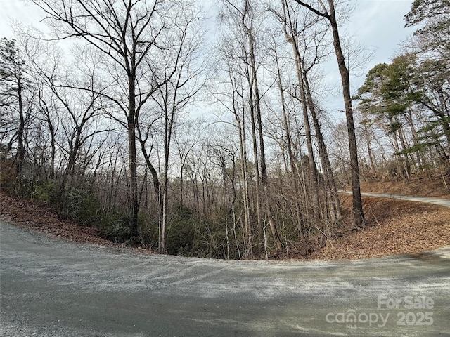 0 Wolf Trl, Lake Lure NC, 28746 land for sale