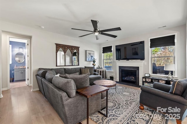 living room featuring visible vents, light wood-style floors, a fireplace with flush hearth, ceiling fan, and baseboards