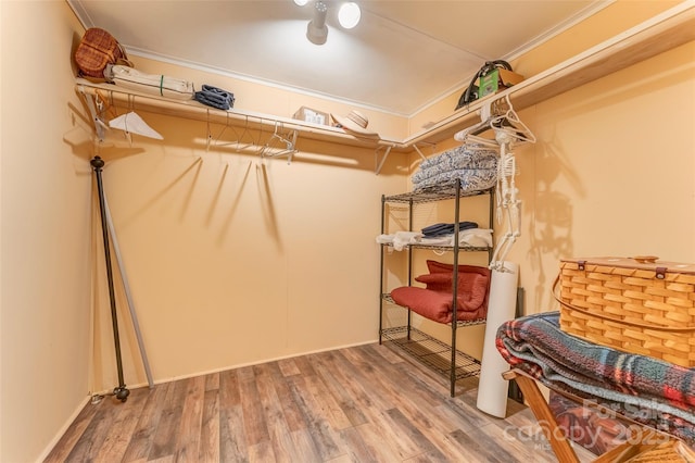 spacious closet featuring wood finished floors