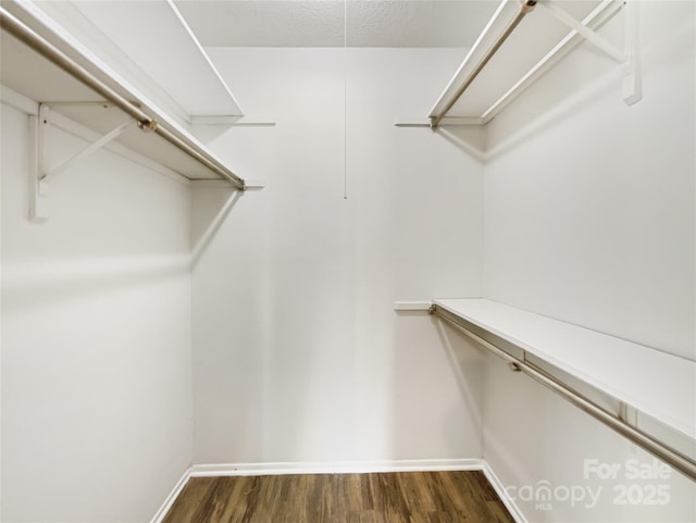 spacious closet with dark wood-style floors