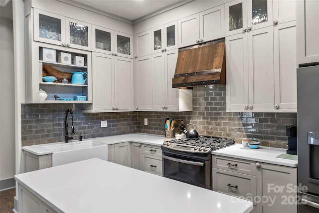 kitchen featuring range hood, stainless steel appliances, light countertops, backsplash, and a sink