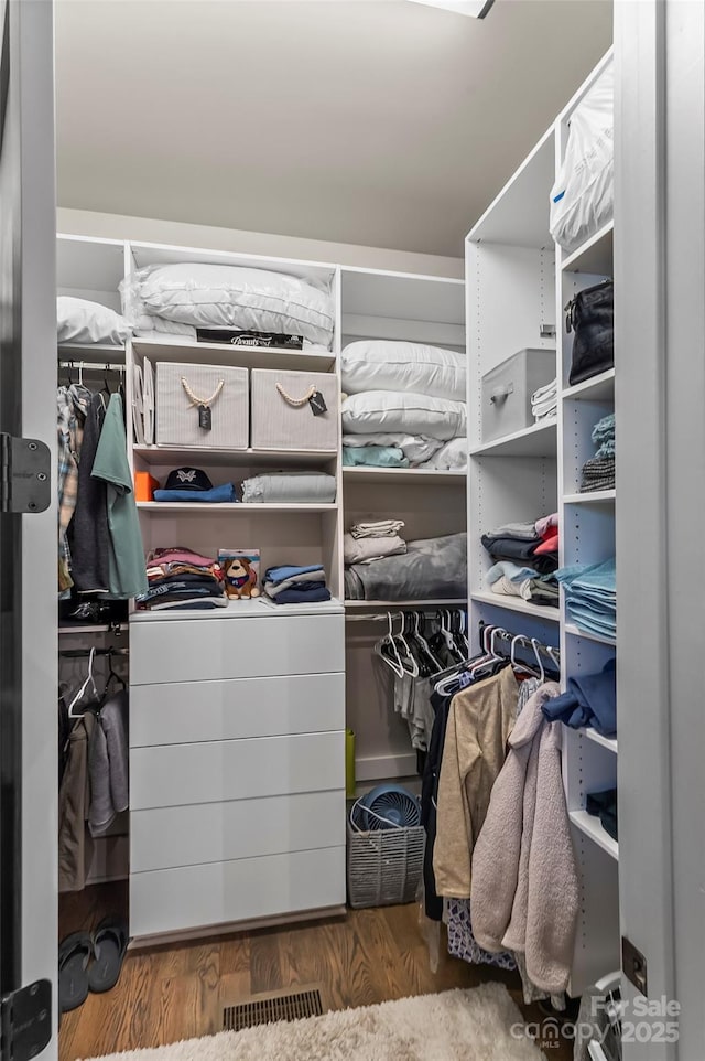 walk in closet featuring wood finished floors