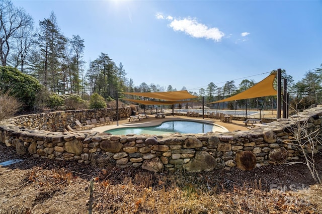 view of swimming pool with a patio area and a fenced in pool