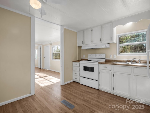 kitchen featuring under cabinet range hood, white electric range, wood finished floors, a sink, and visible vents