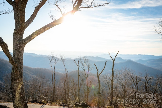 property view of mountains with a view of trees