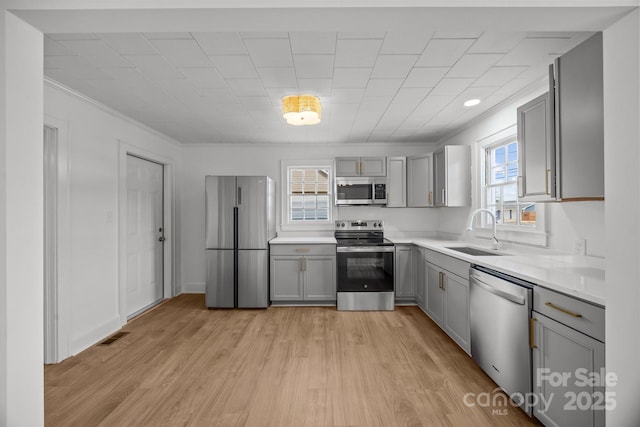 kitchen with a sink, stainless steel appliances, gray cabinets, and light countertops