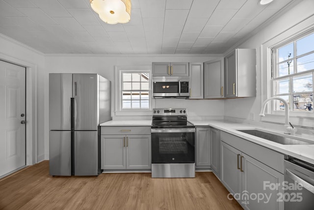 kitchen featuring appliances with stainless steel finishes, a sink, light wood-style floors, and gray cabinetry