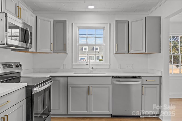 kitchen featuring crown molding, light wood finished floors, gray cabinets, appliances with stainless steel finishes, and a sink