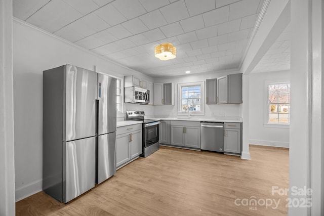 kitchen featuring light wood finished floors, stainless steel appliances, light countertops, gray cabinetry, and baseboards