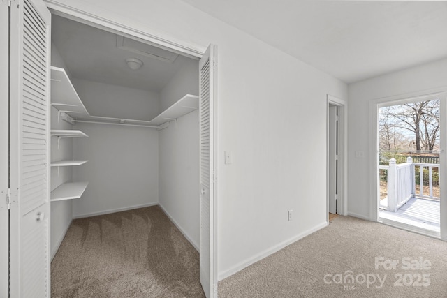 spacious closet with carpet