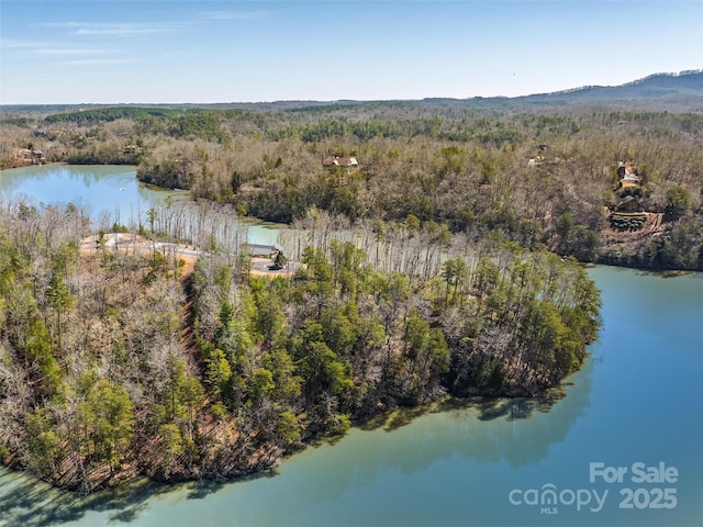 000 Huskey Pointe Pointe Unit 6, Mill Spring NC, 28756 land for sale