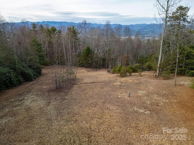 Listing photo 3 for 1883 Rich Mountain Rd, Brevard NC 28712