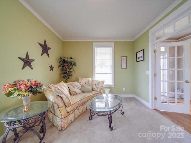 living area featuring baseboards and crown molding