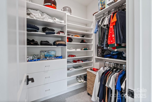 spacious closet with carpet flooring