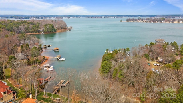 16112 Terry Ln, Huntersville, NC 28078 - view of water feature