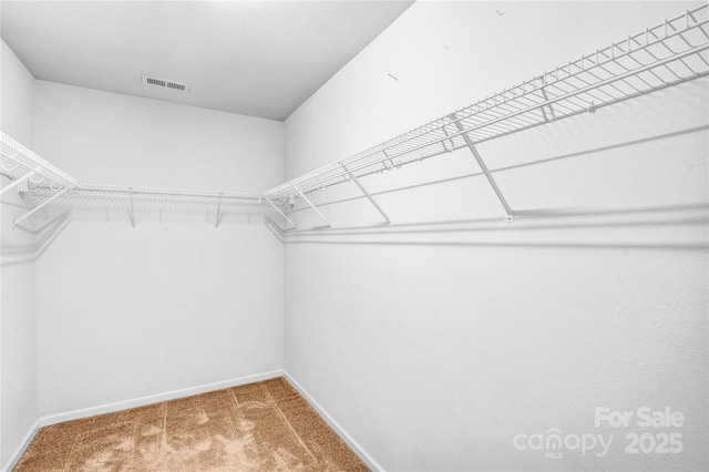 walk in closet featuring visible vents and carpet