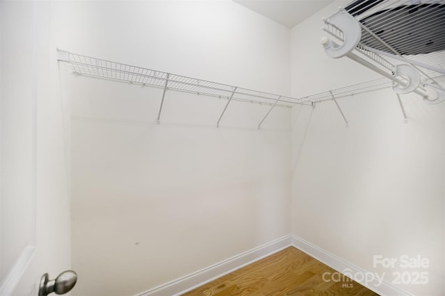 spacious closet featuring light wood-type flooring