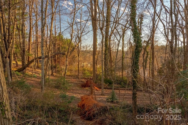 view of local wilderness with a wooded view