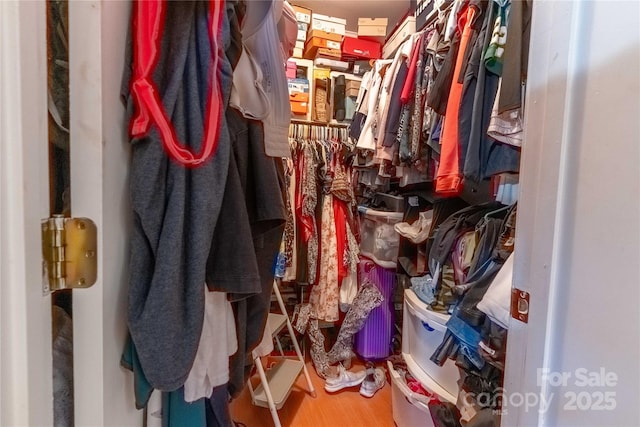 walk in closet featuring wood finished floors