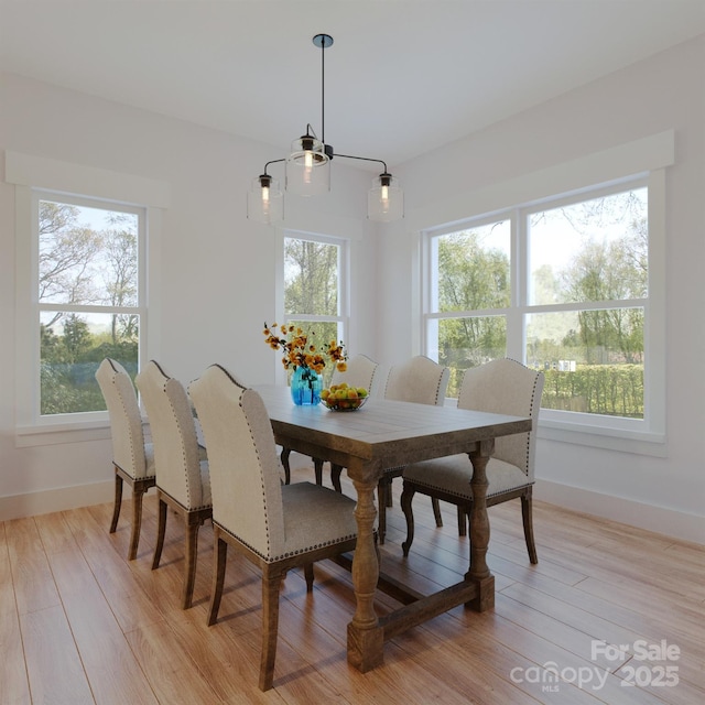 dining room featuring light wood-type flooring, plenty of natural light, and baseboards