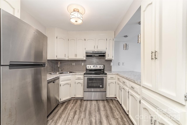 kitchen featuring light wood-style floors, backsplash, stainless steel appliances, under cabinet range hood, and a sink