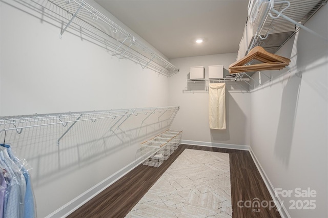 walk in closet with wood finished floors