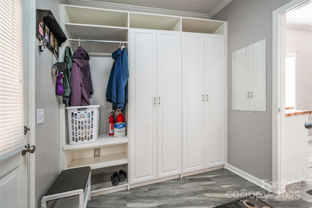 mudroom with ornamental molding