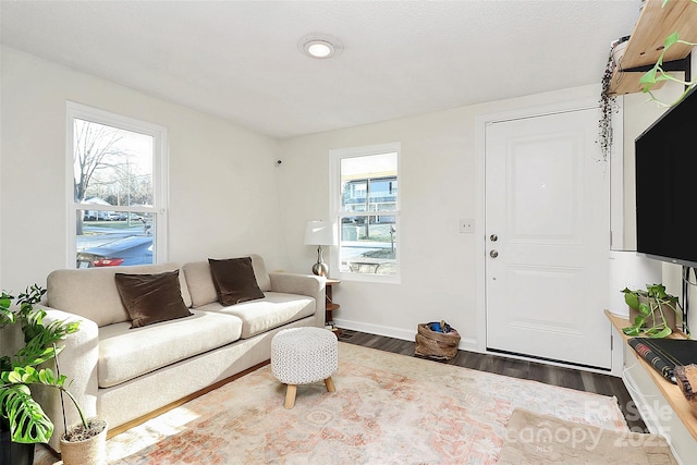 living area featuring baseboards, wood finished floors, and a healthy amount of sunlight